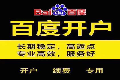 百度推广排名案例研究：如何利用关键词提升品牌知名度